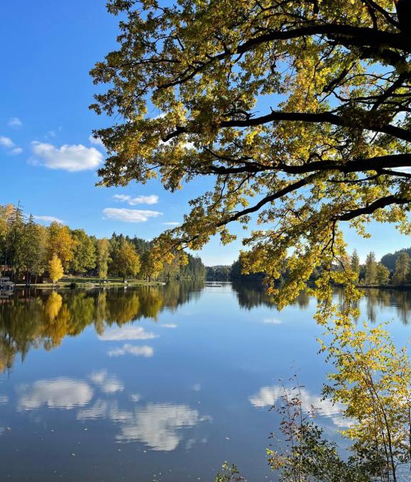 Litschau Apartment | Am Herrensee