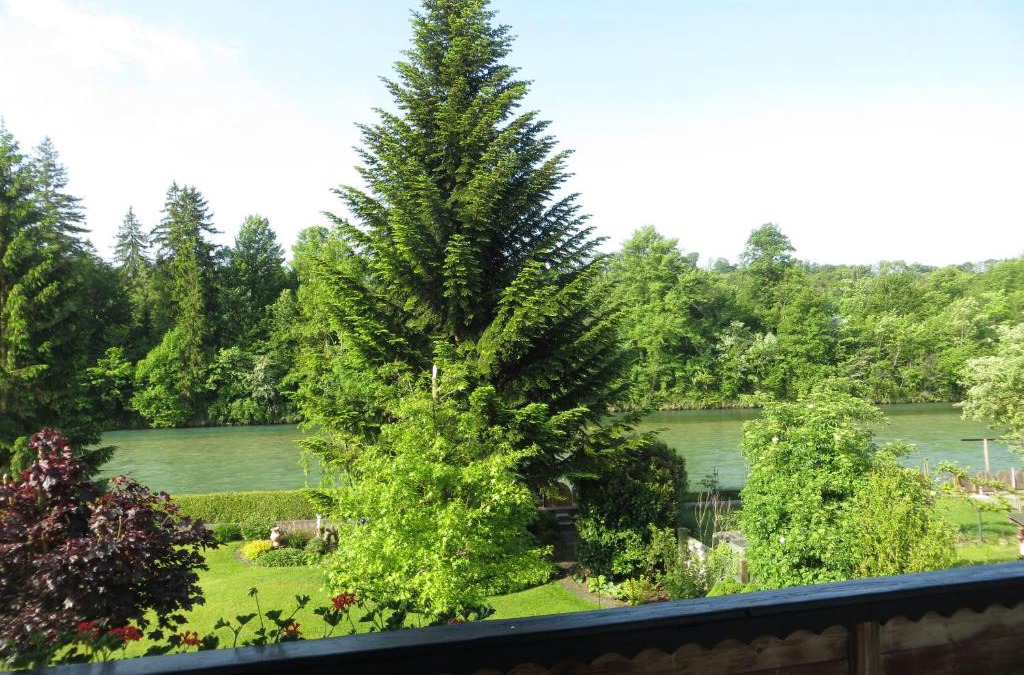 Sierning Apartment | Am Steyr-Ufer