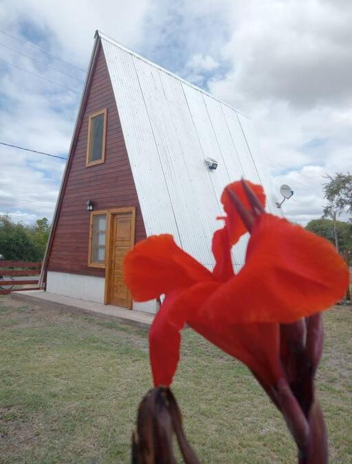 San Agustin de Valle Fertil House | Amancay Cabaña alpina en Valle Fértil