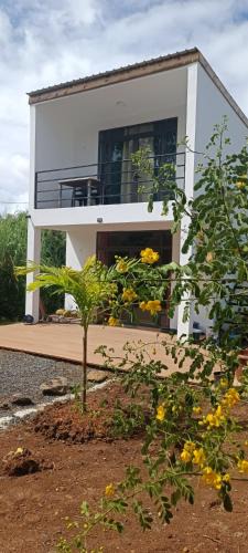 Rodrigues Island House | Amanda's Tiny Heaven