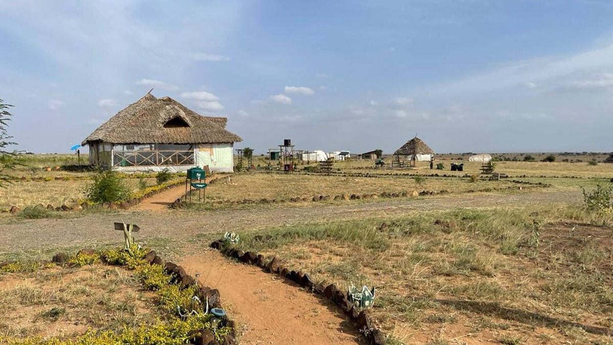 Kimana RV Rental | Amanya 1- Bed Pitch Tent