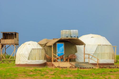 Amboseli House | Amanya 2 rooms Girraffe Family Tent