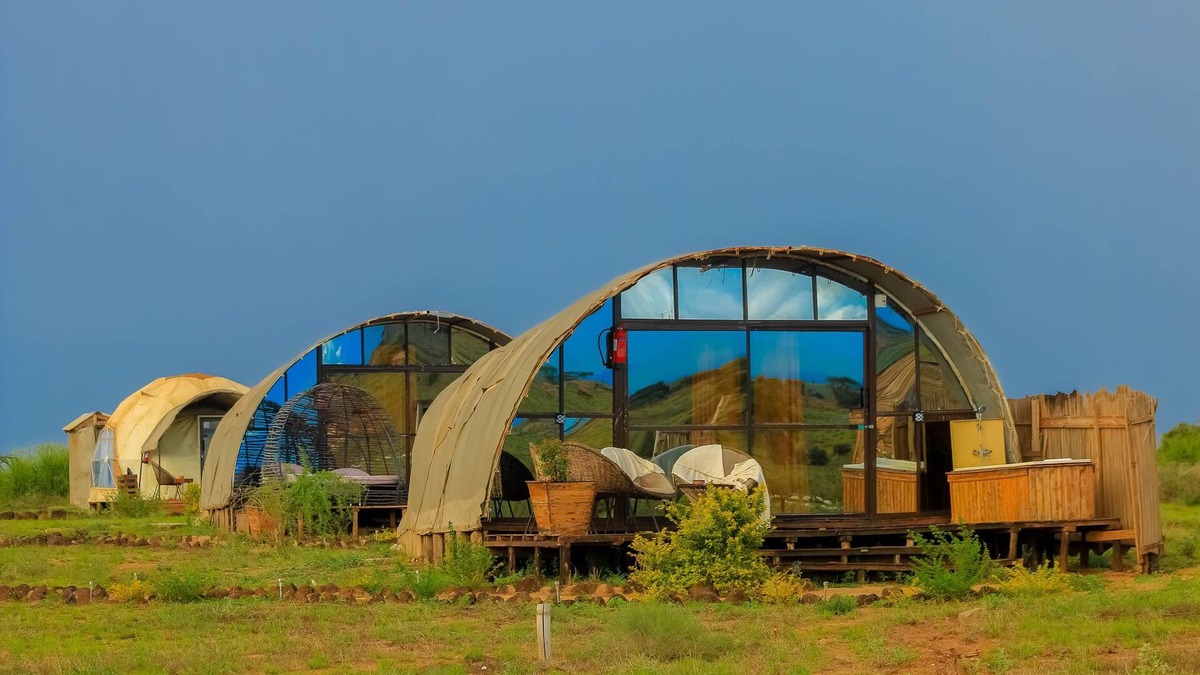 Amboseli Cabin | Amanya 2-Rooms Lioness Family