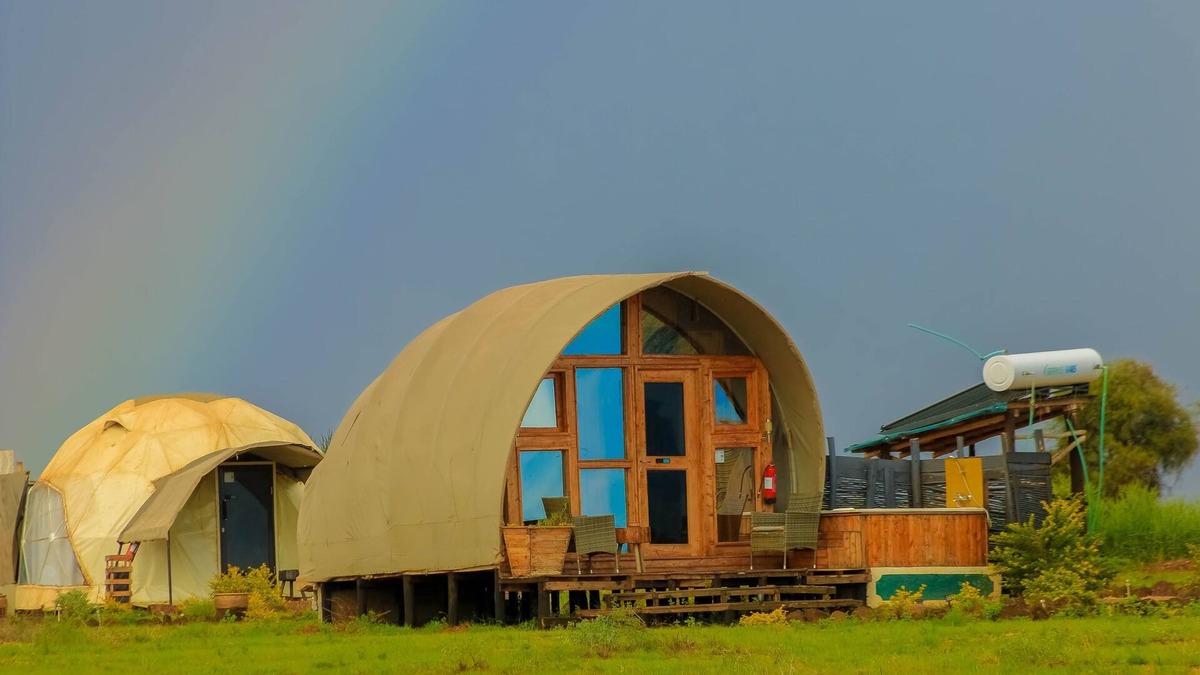 Amboseli Cabin | Amanya 1 -Bed King Lion Tent