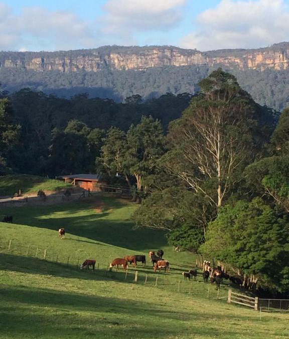 Barrengarry Villa | Amaroo Valley Springs
