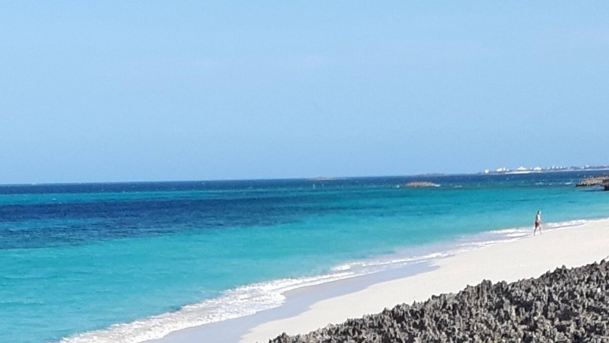 Man O War Cay House | Amazing Beach & views- Lyme Hall