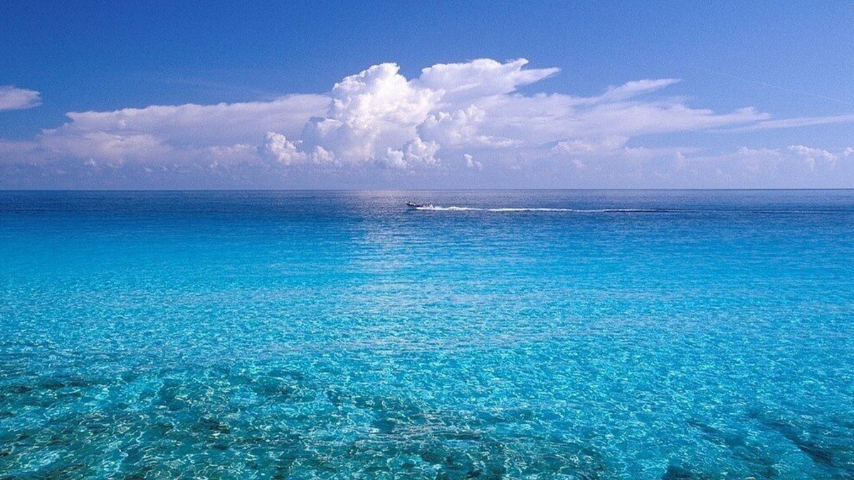 Isla Mujeres Condo | ~Amazing Casa Bendicion Condo on Beach, Sleeps 8, Huge Pool with Hot Tub~