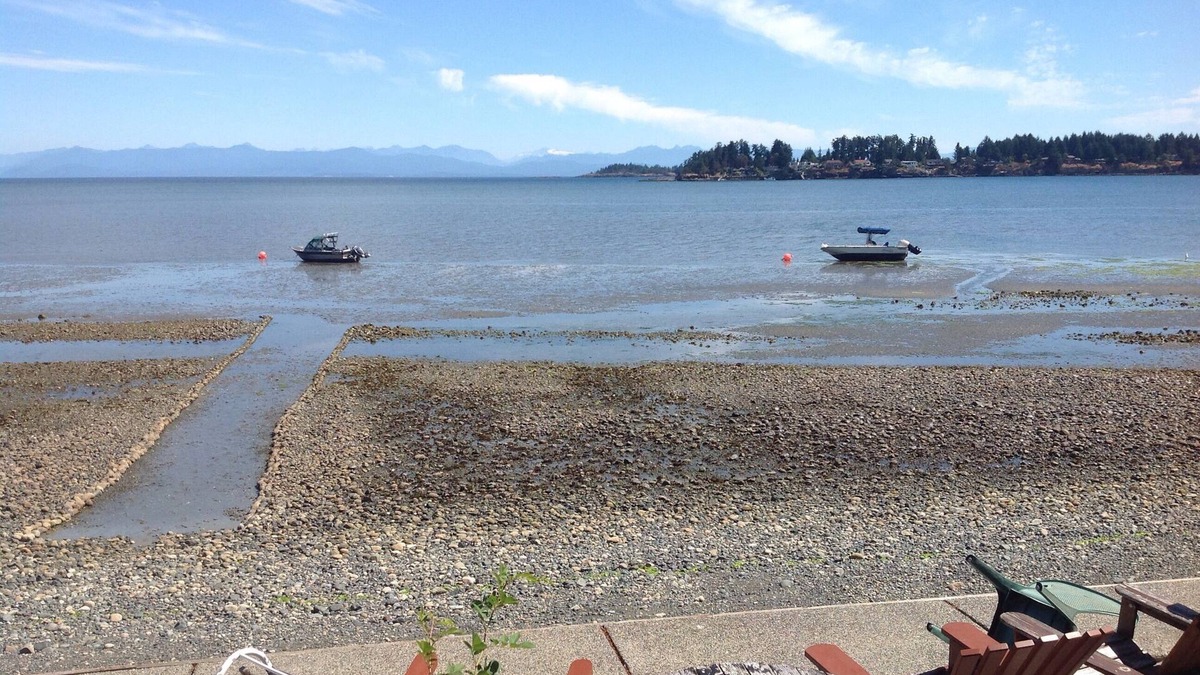 Regional District of Nanaimo Cottage | Amazing Cottage On The Ocean ~ Private Oceanside Acreage ~ Miles Of Beach!