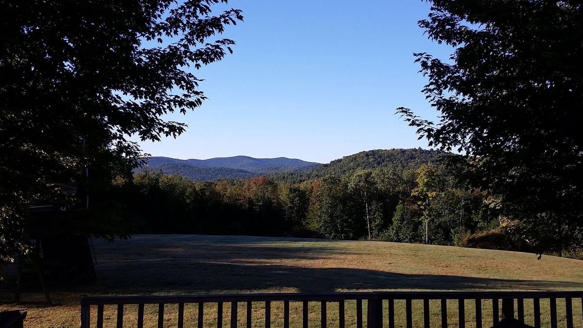 Chester House | Amazing Custom Home on 40+ Acres