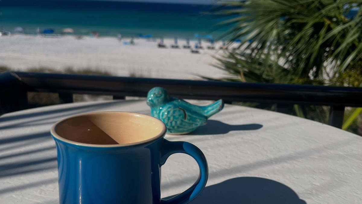 Gulf Lagoon Beach Condo | Amazing Gulf Front View