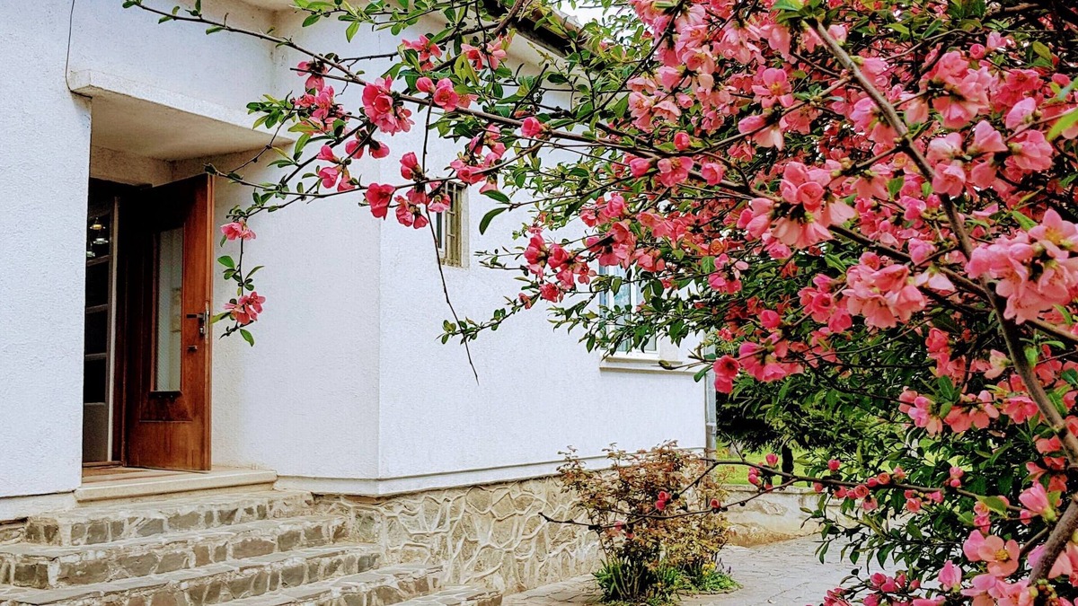 Three Oaks House | Amazing house with beautiful garden, 5 bedrooms, terrace, in the City Centre