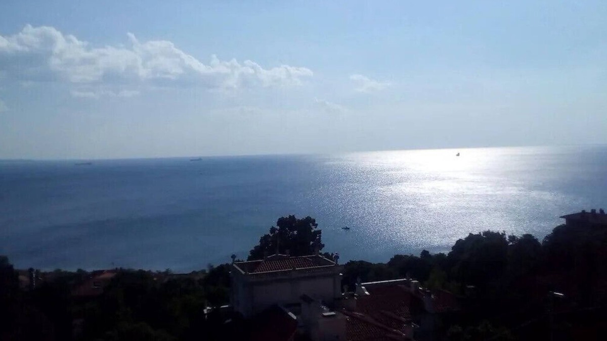 Roiano-Gretta-Barcola-Cologna-Scorcola Apartment | Amazing Sea view, free parking, 5 min. from centre