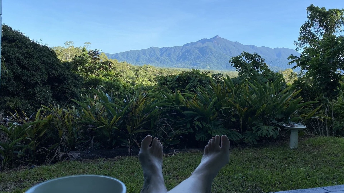 Cow Bay House | Amazing views - Flame Trees over the Daintree