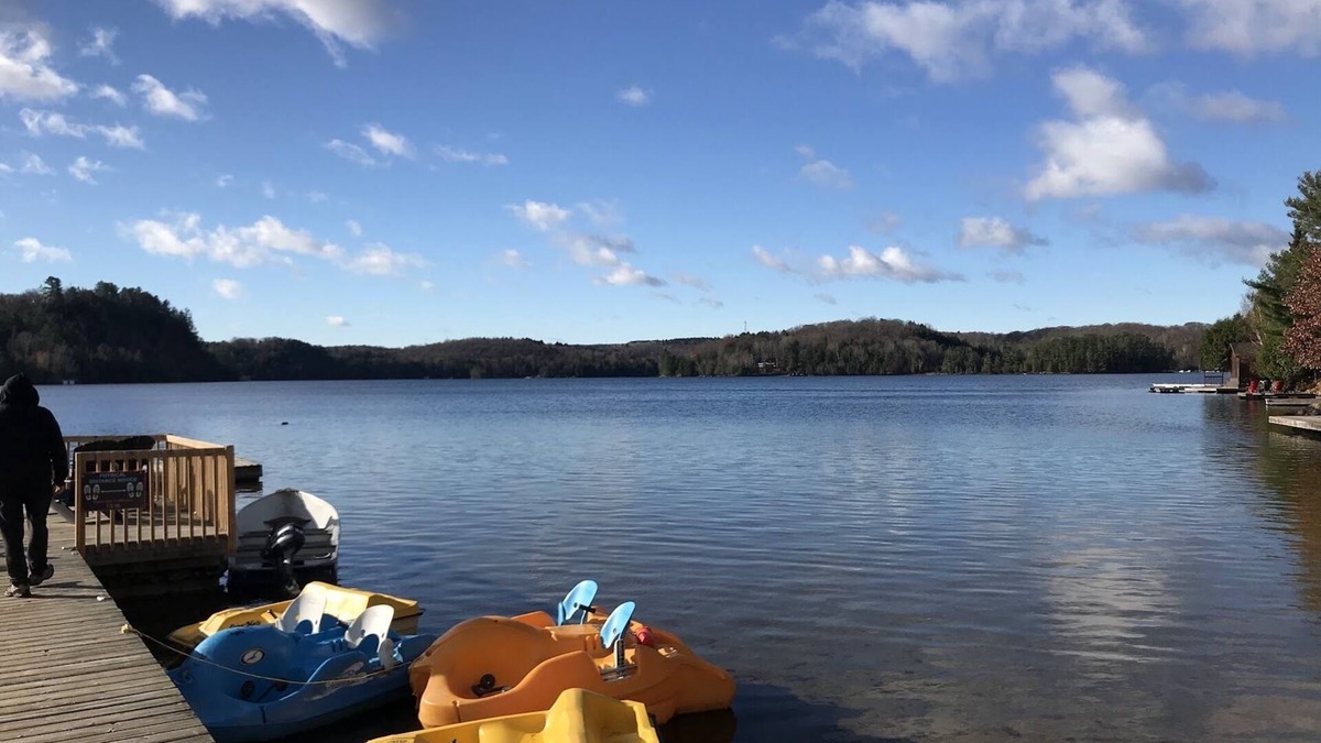 Lake of Bays Cottage | Amazing Views! The Muskokan Cottage at Blue Water Acres