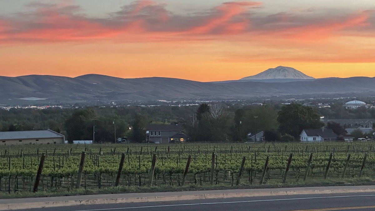 Terrace Heights House | Amazing vineyard views! Conveniently located close to freeways and downtown.