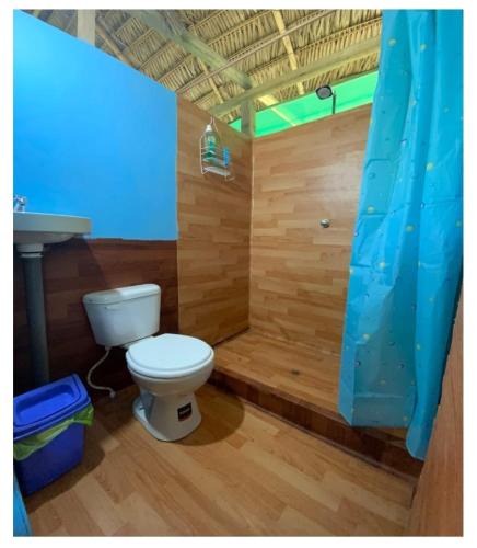 Indiana Hotel | Amazon tucuxi