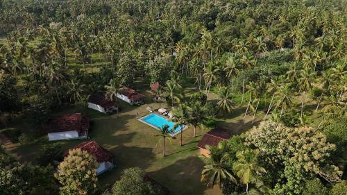 Divulapitiya Hotel | Ambarella Lodge - Katunayake