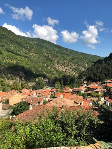 Bachkovo Villa | Ambrozia Spa and Relax family house