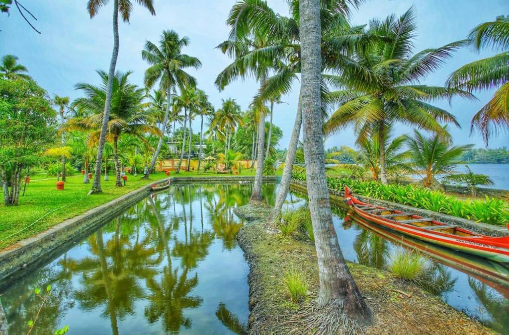 Cherthala Hotel | Ameya Kerala