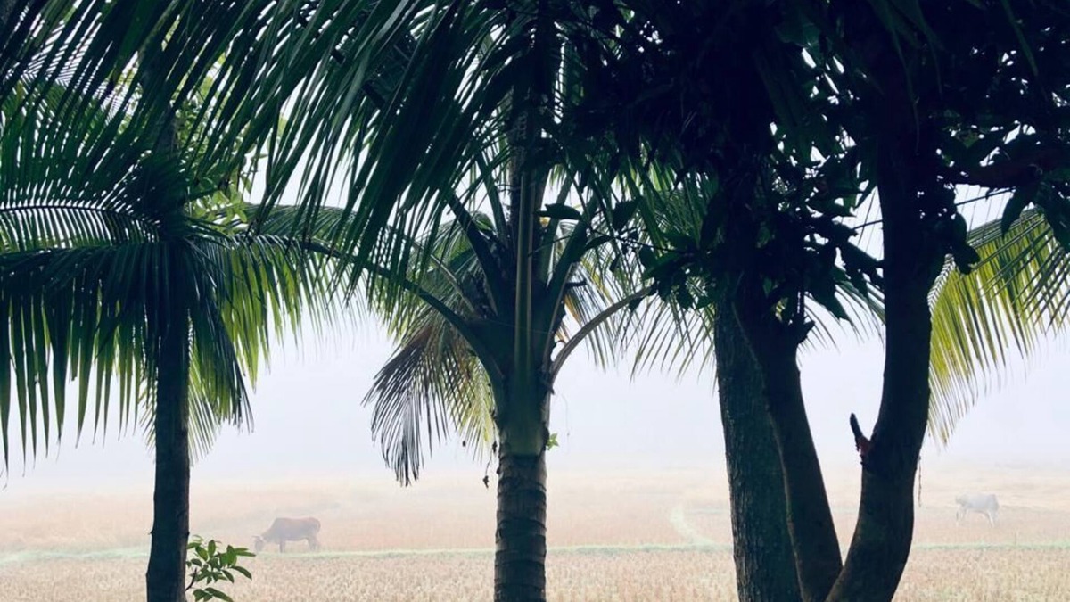 Sylhet Villa | Aminvilla resort