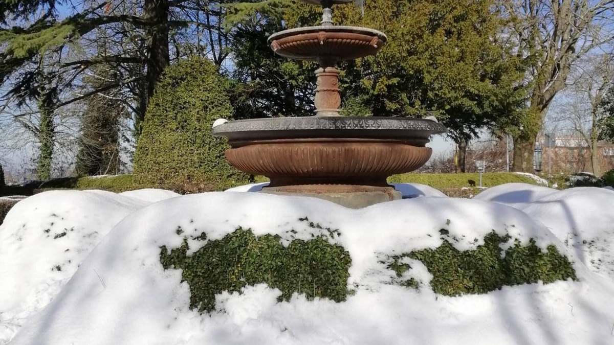 Cingoli Bed & Breakfast | Amor di lavanda