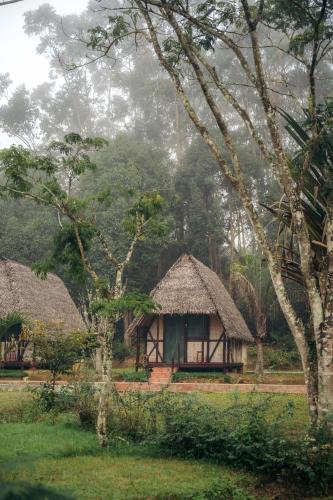 Andasibe Cabin | Amoron'ny Ala
