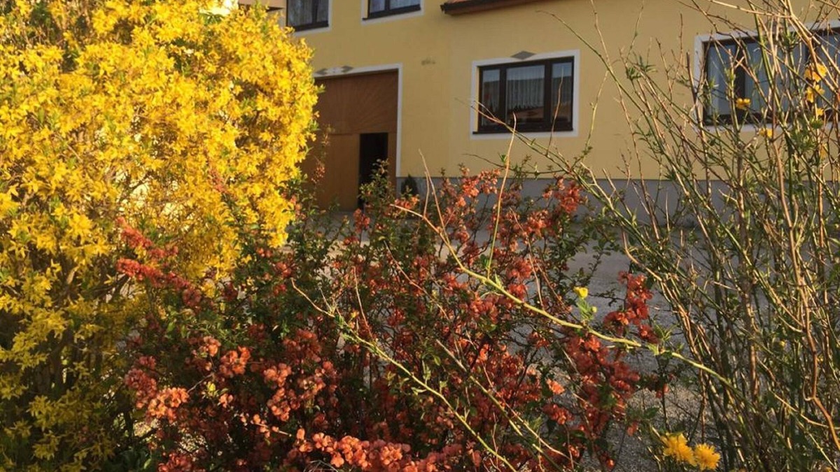 Waldenstein Apartment | Amstetter's Ferienwohnung