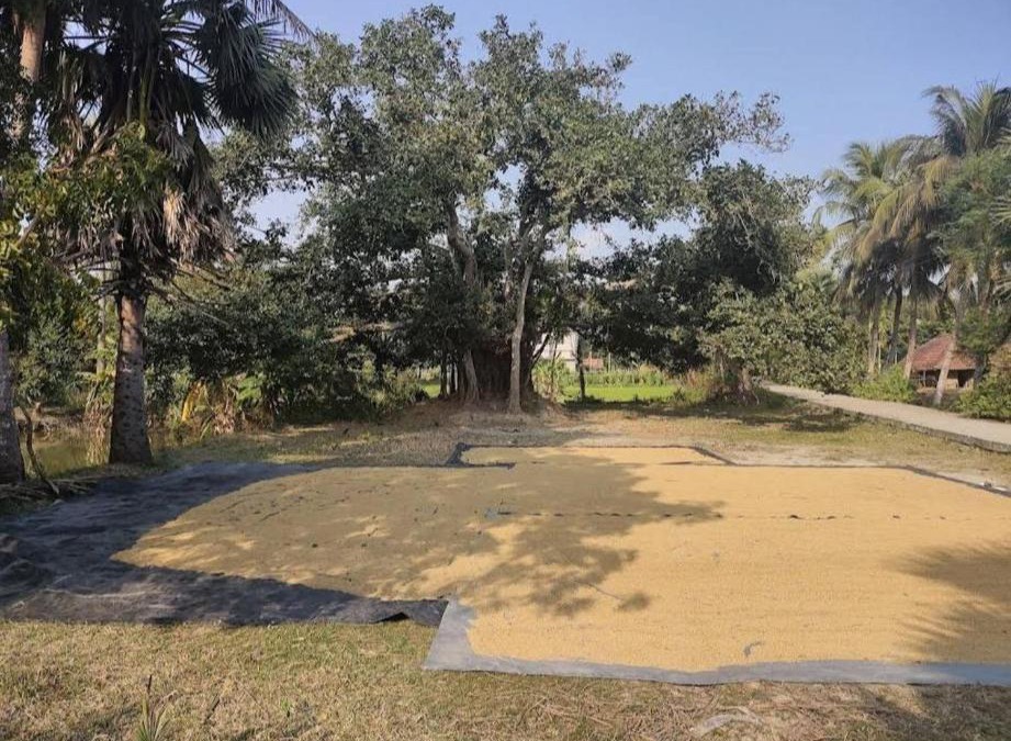 Diamond Harbour House | Amullya Kanan Villa, Sundarban