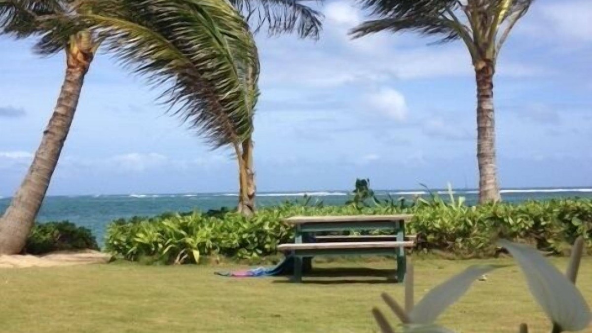 Punaluu Cottage | An Absolute, Perfect Paradise and Affordable