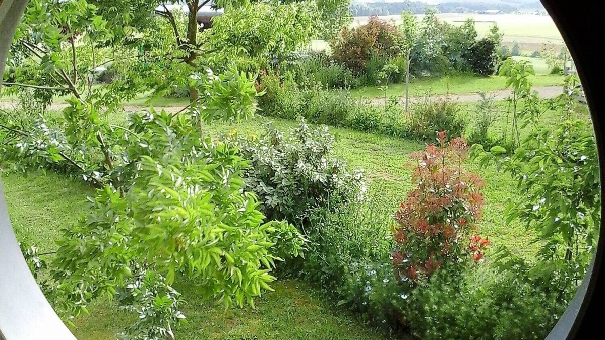 Pauilhac Bed & Breakfast | An unusual night in a gypsy caravan, with hotel services in the middle of nature.