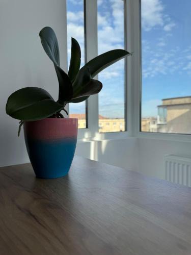 Victoria Apartment | Ana's Loft