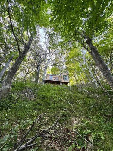 Pleasant Bay Apartment | Ananda - Enchanted Forest Hideaway