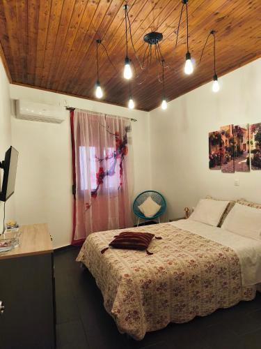 Petra House | Anastasia's Corner
