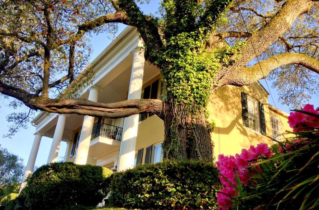 Vicksburg Bed & Breakfast | Anchuca Historic Mansion & Inn