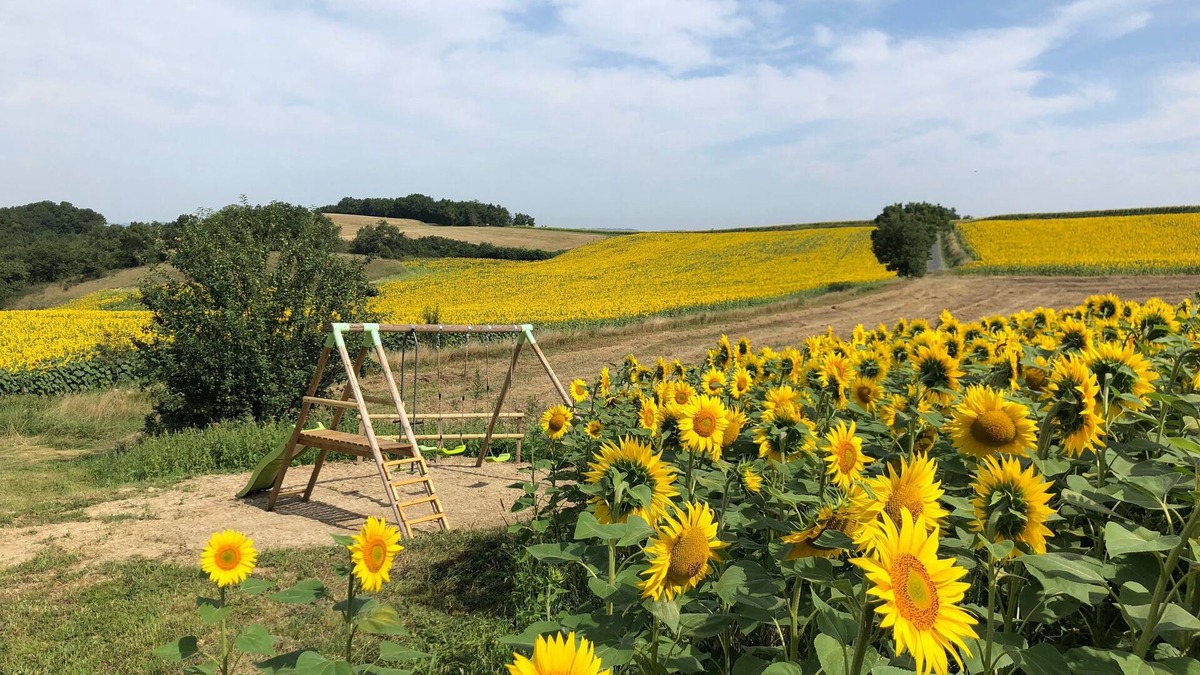 Puylaurens Cottage | Ancien Corps de Ferme au Milieu des Tournesols