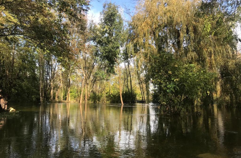 Mosnac Apartment | Ancien moulin à eau sur la Seugne