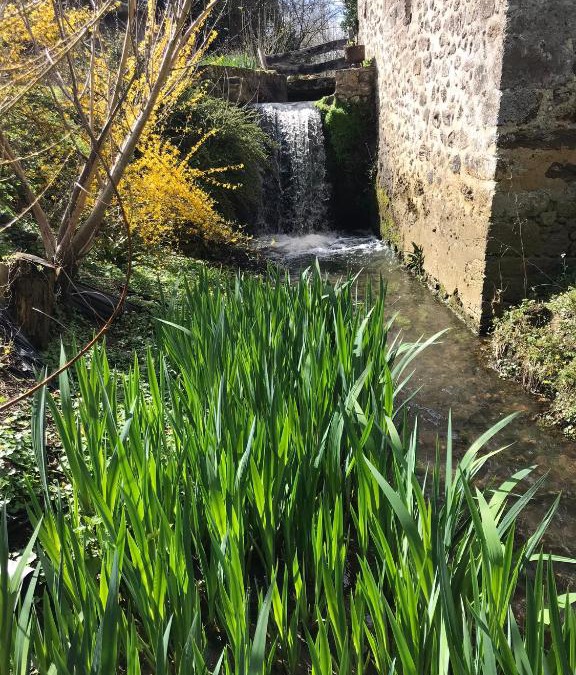 Asse-le-Riboul Apartment | Ancien moulin du 18 ieme