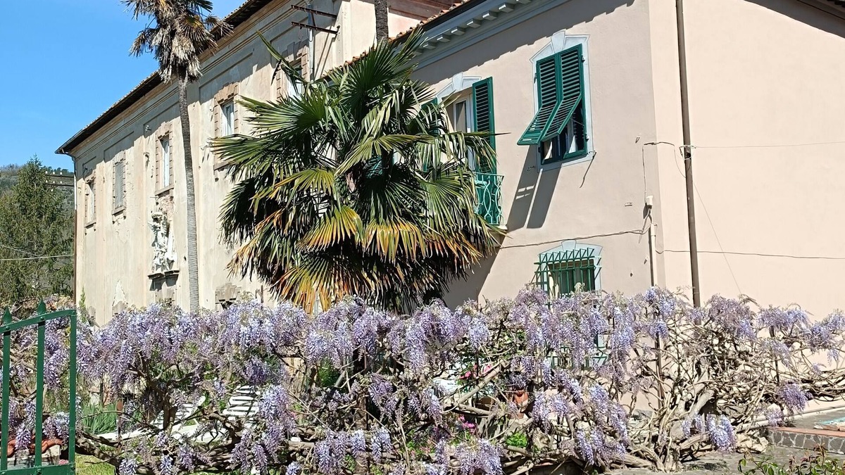 San Giovanni alla Vena Villa | Ancient villa of Grand Duke Leopold II 🐎🦮🏰