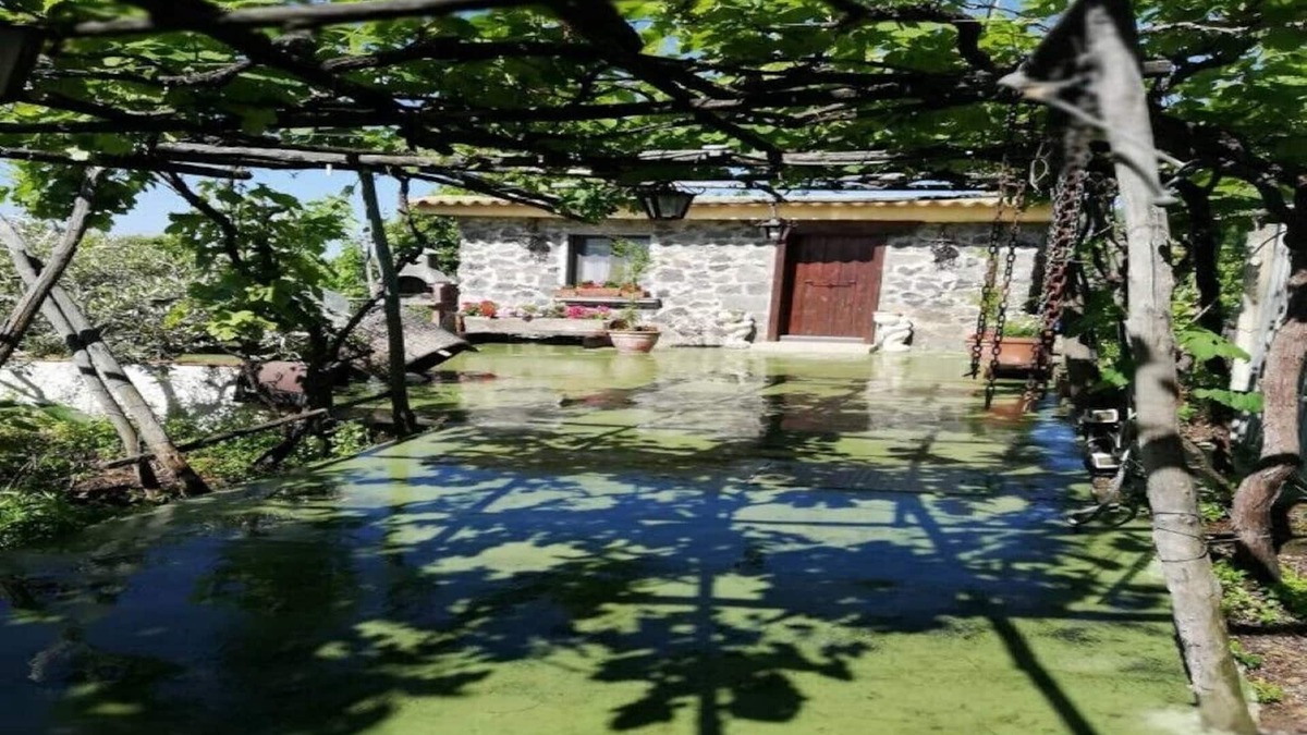 Trecase House | And a small house placed in the green of Vesuvius with a breathtaking view