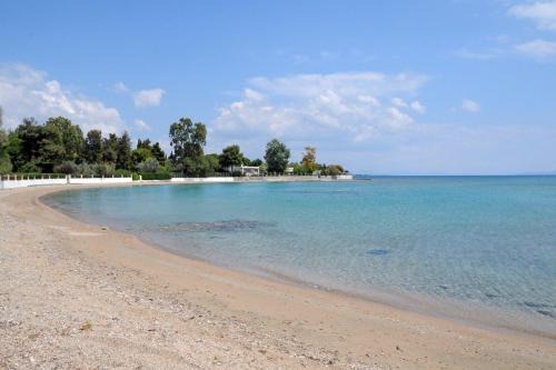 Lefkandi Apartment | Angela's Seaview Apartment
