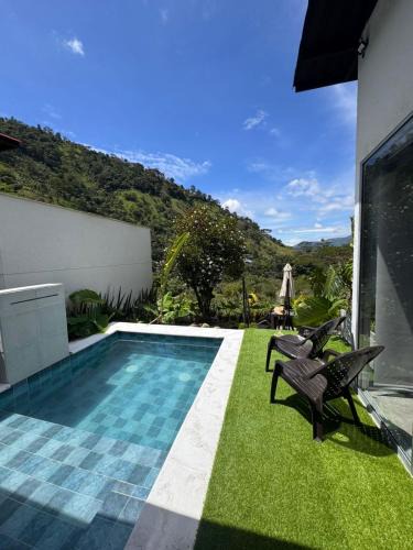 Ibague Other | Animadbali