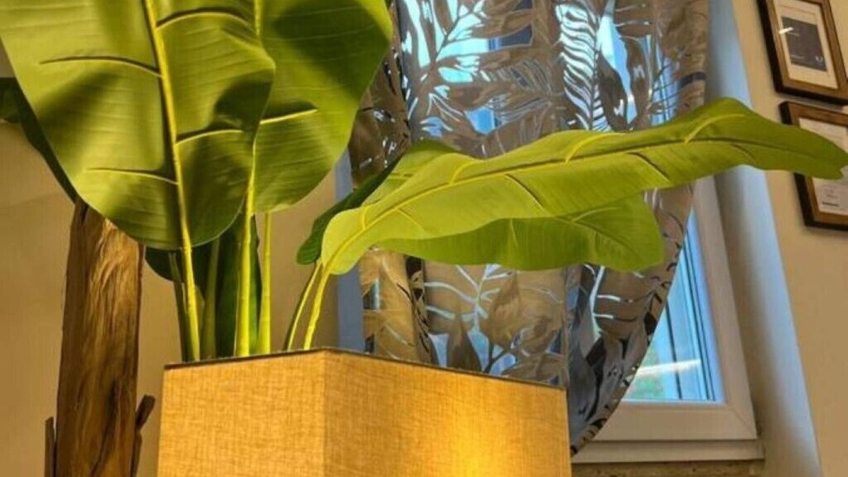 Mentana Apartment | Anita House