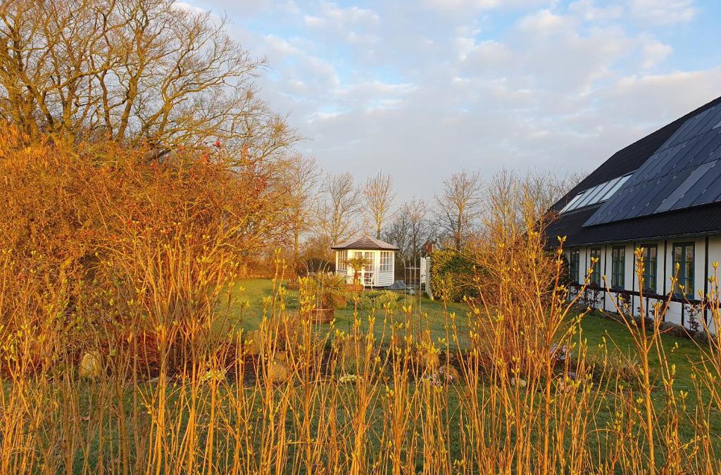Sollested Bed & Breakfast | Anjas nest