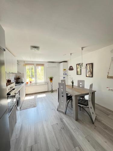 Ocna Mures Apartment | Ank's Apartment