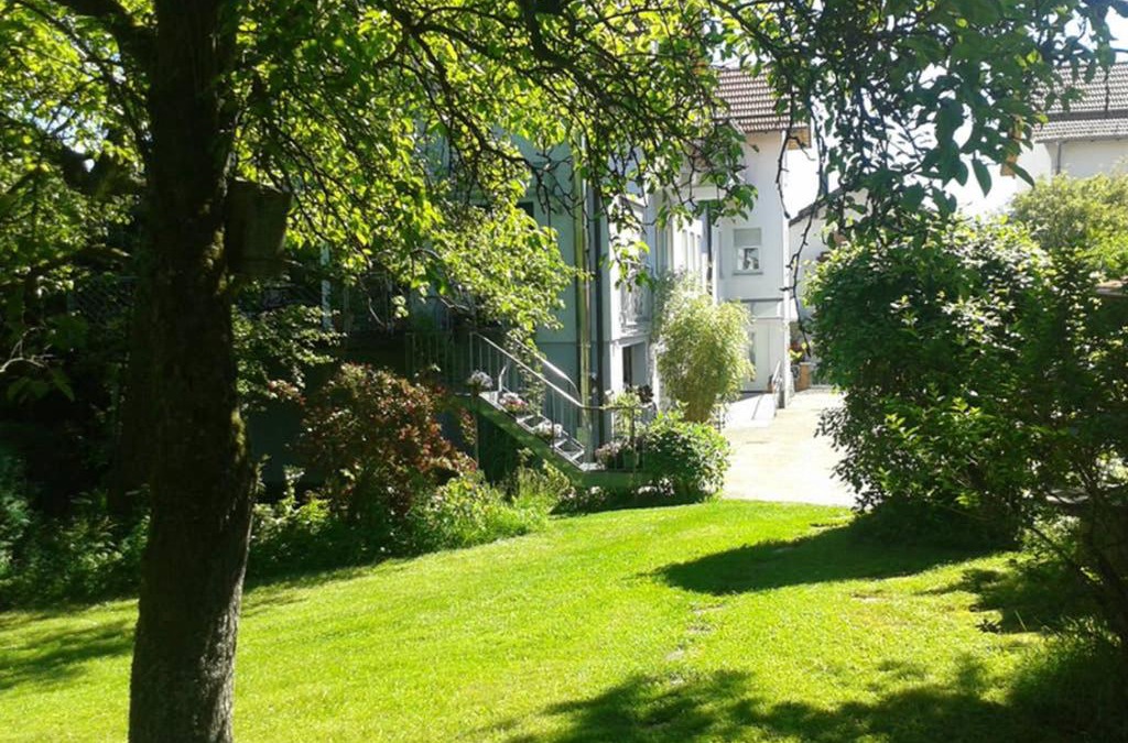 Ober-Abtsteinach Apartment | Anna - neue Ferienwohnung mit Blick ins Grüne