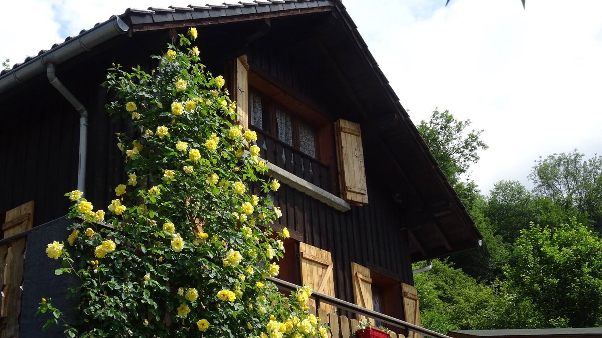 Rovagny Ski Chalet | Annecy Talloires, "Chalet de LA SCIERIE" exceptional setting peace and quiet