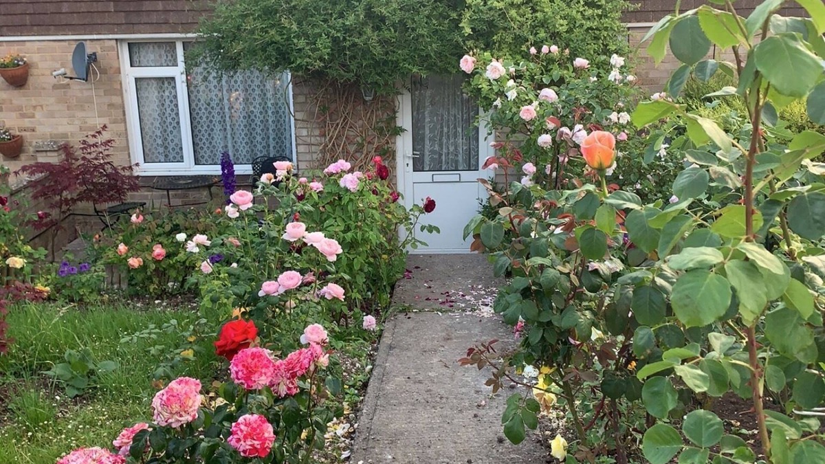 Amesbury House | Annie’s House in Amesbury