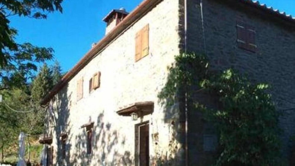 Londa House | Antica casa in pietra circondata da ulivi a SanLeolino Londa 35 km da Firenze