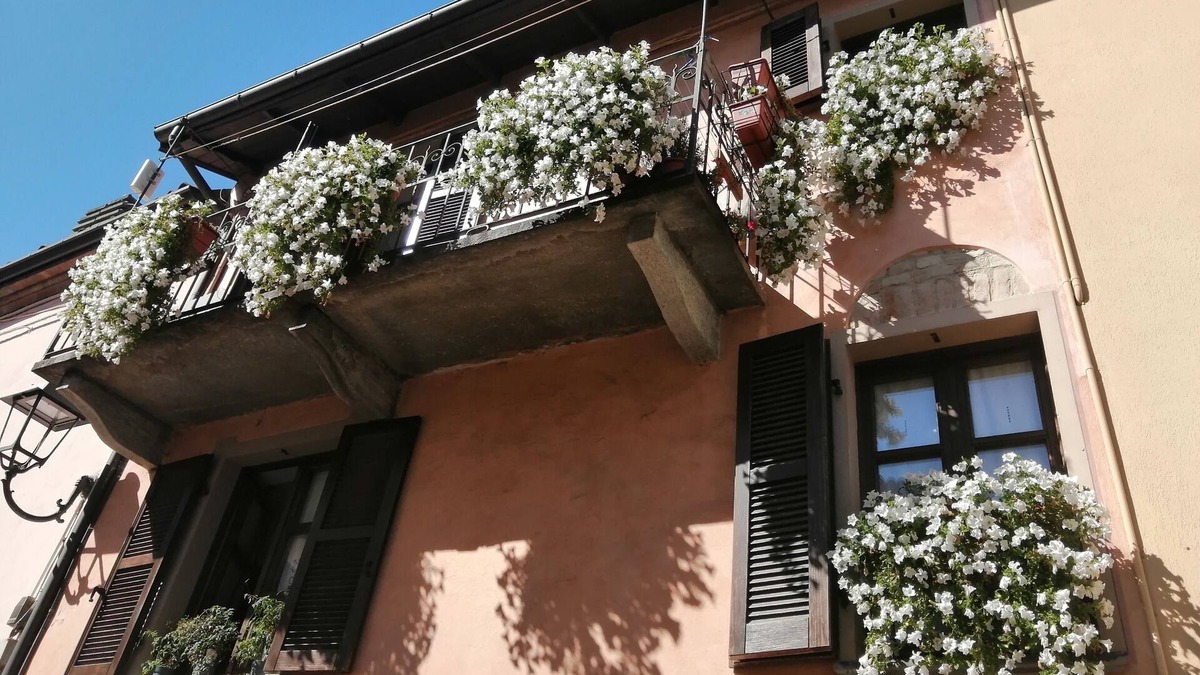 La Morra House | Antica Dimora Stays in Langa Historical center La Morra