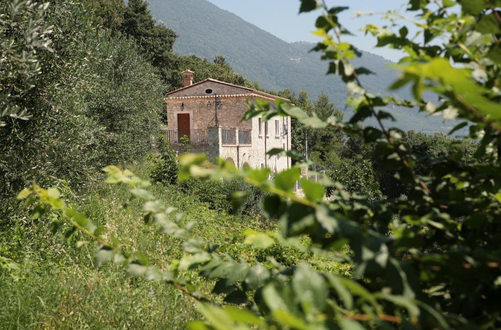 Faicchio House | Antico Casolare Ceselenardi
